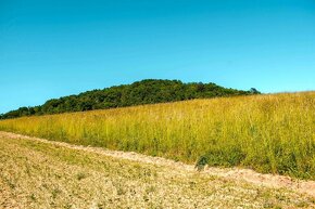 Beckov – 20.000 m2 v celku (Farma, Chov koní...) - 12