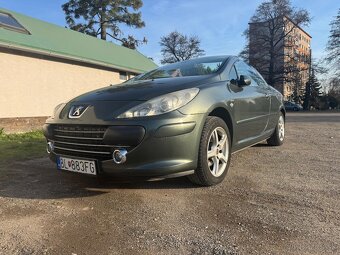 Peugeot 307 CC Cabrio - 12