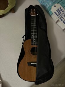 Ukulele - 12