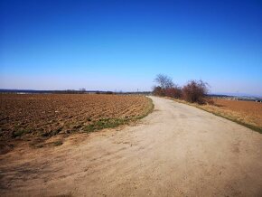 Chatka na predaj + odstúpenie prenájmu záhrady. Nitra, Kynek - 12