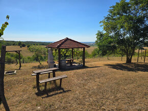 Jedinečná Vinná pivnica s viničom Lozorno - 12