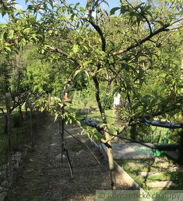 Krásna chata pri jazere na úpätí Štiavnických vrchov, Báto - 12