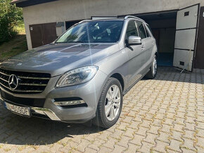 ML 350 CDI  BLUETEC AIRMATIC - 12