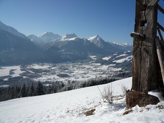 Alpen Haus Korutansko - 12