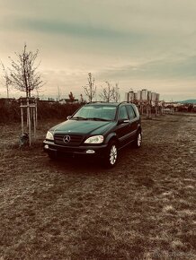 Predam Mercedes Benz ML 270 CDI - 12