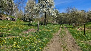 STAVEBNÝ POZEMOK NA OKAMŽITÚ VÝSTAVBU RD - PREŠOV - 12