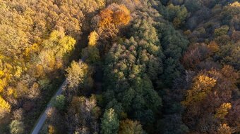 Kamenné (Košice) - 1.772 m2 LES v podiele 1/1 - 12