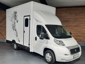 Fiat Ducato - prepravník na kone, prepravník koní - 12