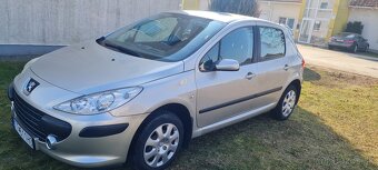 Peugott 307 1.6 benzin - 12