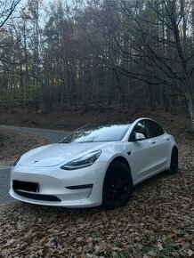 Tesla Model 3 Long Range Dual Motor AWD 4x4 - 12