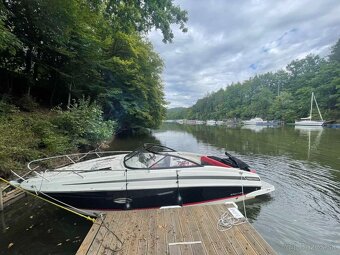 BAYLINER 742R Cuddy + MERCRUISER 6,2l V8 MPI DTS 350ps BRAVO - 12