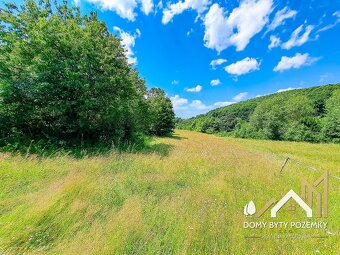 Veľkorysý, 2,5 ha pozemok za výbornú cenu - 12