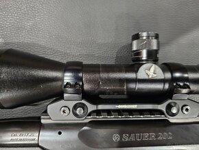 SAUER 202 - 12