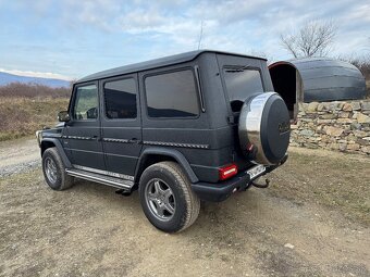 Mercedes Benz G400cdi 2003 W463 - 12