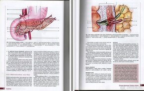 učebnice anatómie - medicína - 12