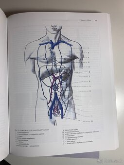 Čihák anatómie 1,2,3 - 12