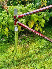 Colnago Master Del Tongo - 12