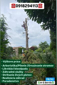 Arboristika /Rizikové pílenie stromov /Výrub stromov - 13