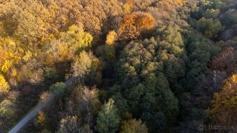 Kamenné (Košice) - 1.772 m2 LES v podiele 1/1 – NA PREDAJ - 13