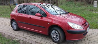 Peugeot 307 - 13