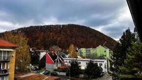 Prenájom dvojizbového bytu v centre mesta, Fortnička - 13