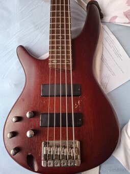 Basgitara Ibanez - 13