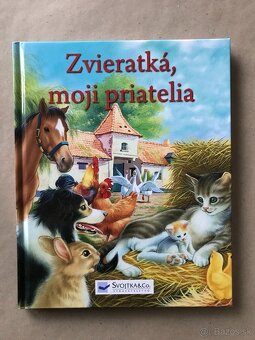 B. Nemcová Babička, Mýty a legendy, Medzi nami dievčatami - 13