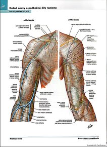 PDF - Netterov anatomický atlas človeka 6. vydanie SK - 13