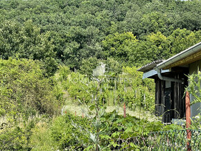 Chatka so záhradou a vinicou - 13