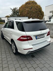 Mercedes-Benz ML 250 BLUETEC 4MATIC - 13