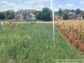 Pôvodná vínna pivnička na Modranskom viničnom vŕšku - 13