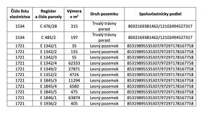 Raslavice – 156.000 m2 LESOV (87,6% podielov na LV) - 13