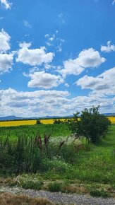 Znížená Na predaj vinica s chatkou  Štúrovo Hegyfarok - 13