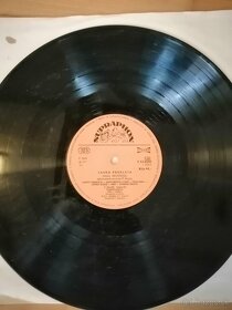 LP, long play, veľké platne, vinyl - 13