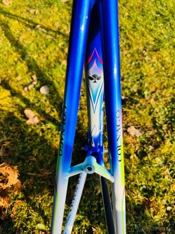 Colnago Master Bititan Art Decor - 13