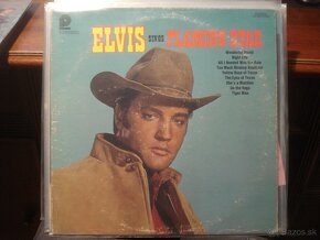 LP ELVIS G.DEAD BEATLES PALMER LORDS NICE R.SHARPE A.LEAR - 13