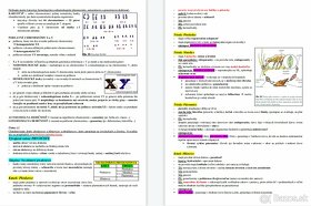 Maturitné zadania z BIOLÓGIE (30 zadaní) - 13