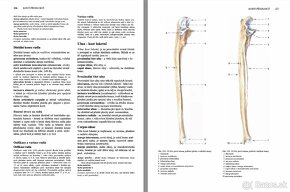 učebnice anatómie - medicína - 13