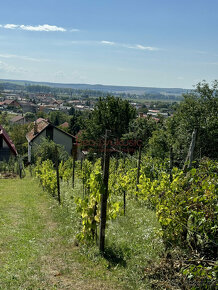 NA PREDAJ_CHATA S VINICOU priamo pod Turnianskym hradom - 13