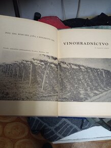 Kniha vinohradníctvo 1969 - 13