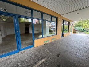 Na prenájom obchodný priestor 230m2 - Voľný ihned - 13