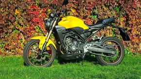 Honda CB300R, 6/2023, kúp v SR. - 13