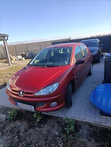 Peugeot 206 - 13