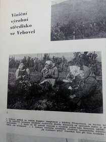 časopis vinárstvo /český/ viazané ročníky 1960-62 - 13