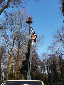 Rizikové pilenie stromov arboristika - 13