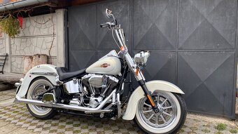 Harley Davidson Softail 110” - 13