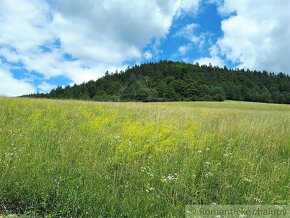 VÄČŠÍ POZEMOK S VÝHĽADOM NAD OBCOU ZÁSKALIE PRI POVAŽSKEJ - 13