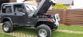 Jeep Wrangler yj 2.5i. 89kw. 1995 - 13