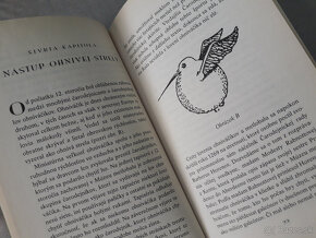 Harry Potter Metlobal a Čarovné svety - 13