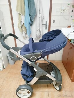 Stokke cruzi - 13